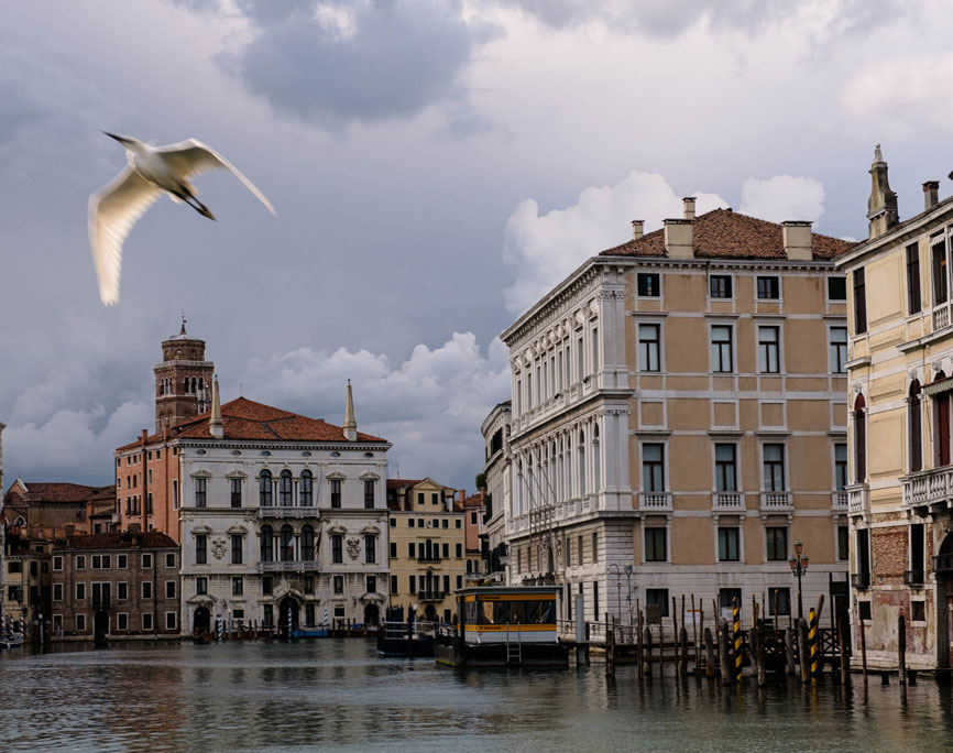 venecia-canal-grande